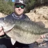 Types of Bass and How to Identify Them