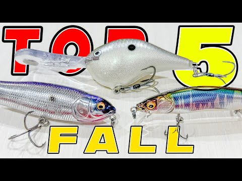 Top 5 Baits For Fall Bass Fishing!