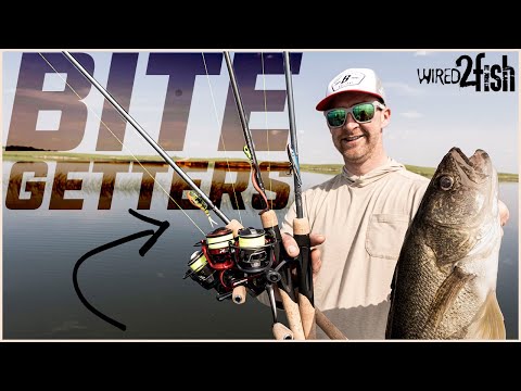 Tough Bite? Here’s 3 Baits That Work