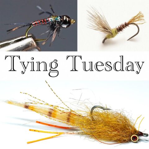 Tying Tuesday: From Trout to Redfish