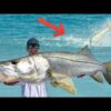 Most EPIC Fish Migration! Florida Mullet Run (Catch Clean Cook)