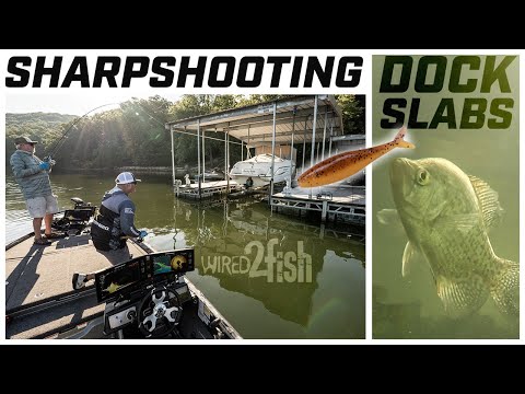 How to Catch Crappies Under Docks