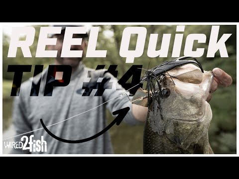 Buzzbait Tips: How to Rig a Trailer Hook