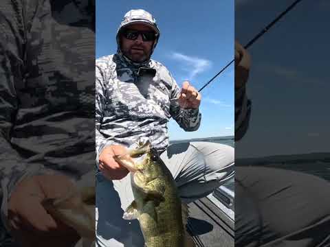 Tim’s Secret Bait For Flipping Cover! ๐คฏ