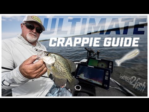 Crappie Setup Guide: Gear and Bait Made Simple