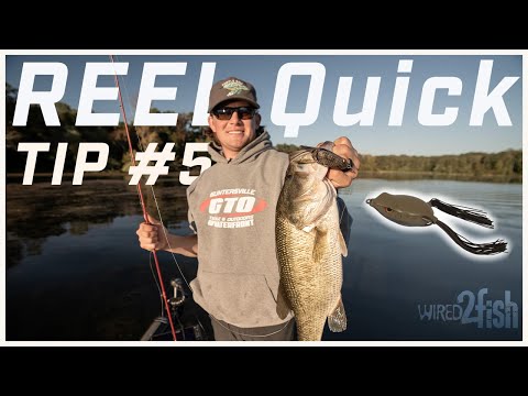 An OVERLOOKED Frog Fishing Tip