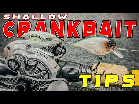 Shallow Crankbait Tricks For Fall Bass Fishing!