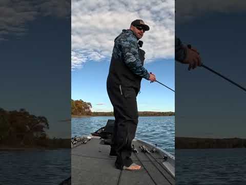 GIANT BASS… TINY BAIT… ๐ฎ