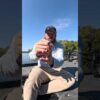 Have You Tried This Bait Yet?!