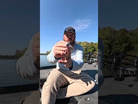 Have You Tried This Bait Yet?!