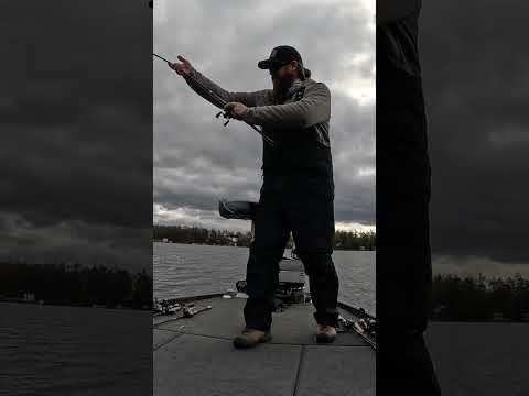 ๐ฃ This Swimbait Is Crazy Durable!! ๐