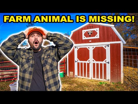 My MOST EXOTIC Backyard FARM Animal ESCAPED!!!