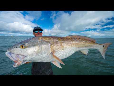 GIANT Redfish & Snook! Catch Clean Cook