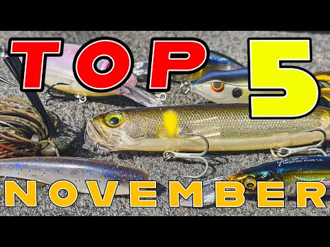 Top 5 Baits For November Bass Fishing!