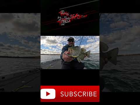 ๐ Tim’s Favorite Jerkbait Color… ๐