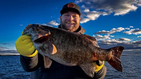 Winter Bass Fishing: From Beginner to Advanced