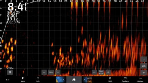 Forward-Facing Sonar: What It Is, How To Use It