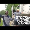 Stocking Florida Strain Bass into Bassmaster’s Lake Y