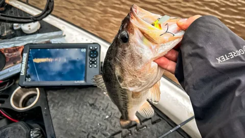 Lowrance Eagle Eye 9 Review