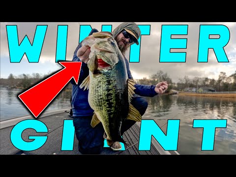 Cold Water Bass Fishing Patterns That Work!