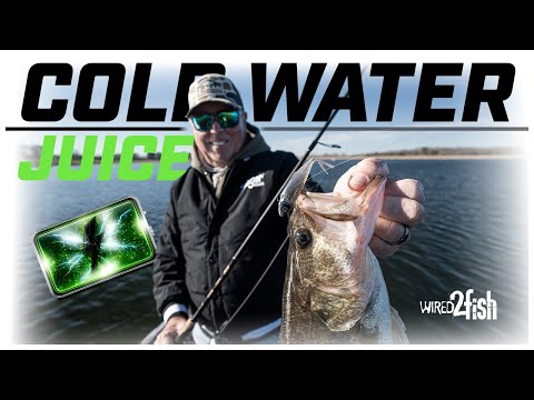 Cold Water Bass CANNOT Resist This