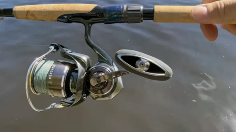 Best Spinning Reels for 2026