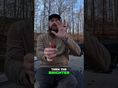 🤫 THE KEY TO EARLY SPRING BASS FISHING! 🤫