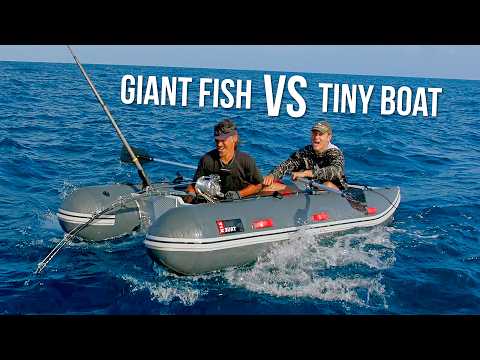 Giant Fish Tows Tiny Inflatable Paddle Boat