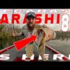 Prespawn Bass Fishing! New Megabass Karashi 80, Chatterbaits, And Spring Swimbaits!
