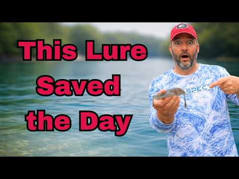 The Lure That Saved the Day