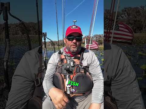 CAST PAST YOUR TARGET: Win More Fish! #shorts