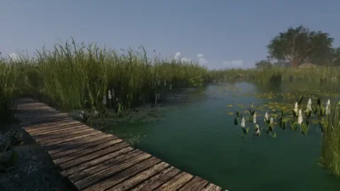 New Fishing Video Game To Debut This Summer