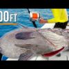 Giant Deep Sea Fish Caught in 600ft