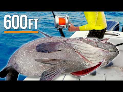 Giant Deep Sea Fish Caught in 600ft