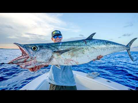 DEEP Sea Kingfish! Catch Clean Cook (Kingfish)