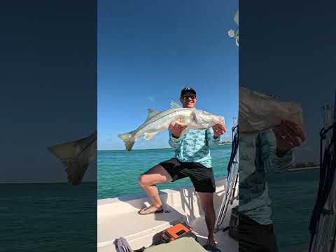 BIG tarpon + BIG snook = one awesome day! 🔥🔥