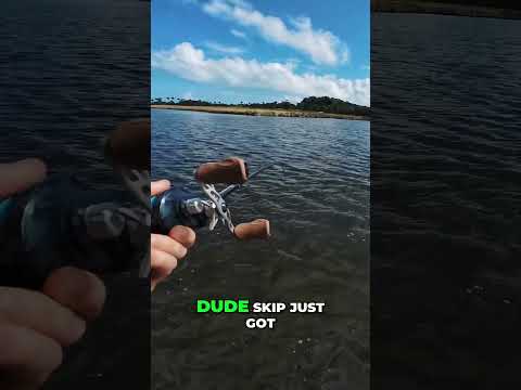 Catching SNOOK in Puerto Rico!