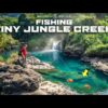 Fishing TINY JUNGLE Mountain CREEKS for EXOTIC MULTI SPECIES!