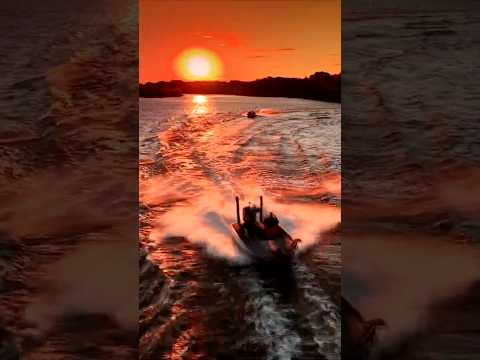 Instincts and Jason Christie go hand in hand