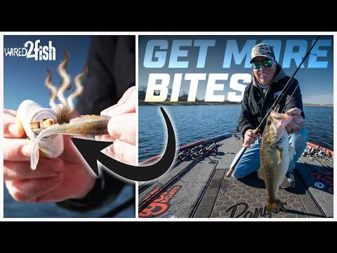 The Missing Piece in Fishing Clear Water