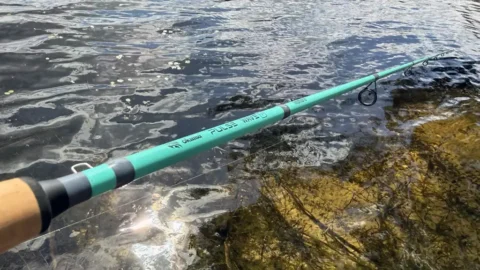 Best Saltwater Fishing Rods for 2026