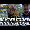 How Chris Johnston won on the Santee Cooper Lakes