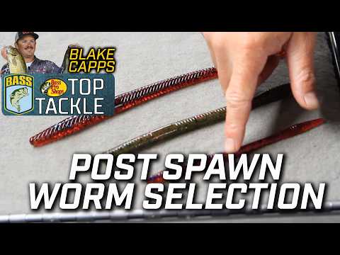 Post spawn worm selection with Blake Capps