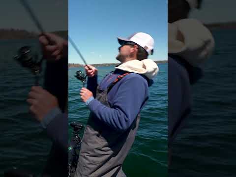 POV: First bass trip of the year 🐊
