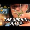 Dial in your “Urchin” setup with Will Davis Jr.