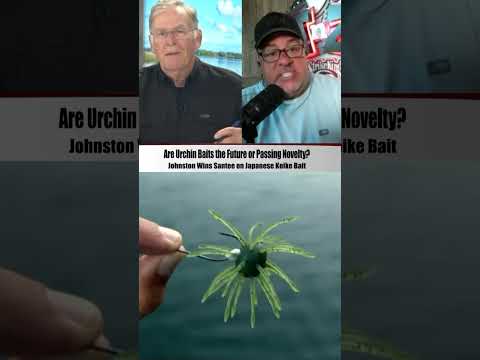 Urchin madness!