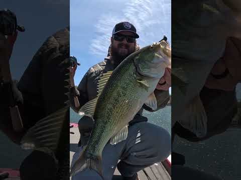 This Little Jig Gets Bass On Tough Days 😎